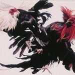 Kriteria Ayam Filipina Unggulan