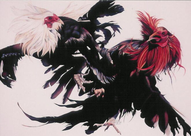 Kriteria Ayam Filipina Unggulan: Mengenal Tulangan dan Gaya Tarung